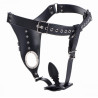 Strict Ceinture de chasteté avec plug Strict Male 8.5 x 3.3cm